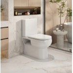 Moi Rimless Toilet Suite Moi Rimless Toilet Suite